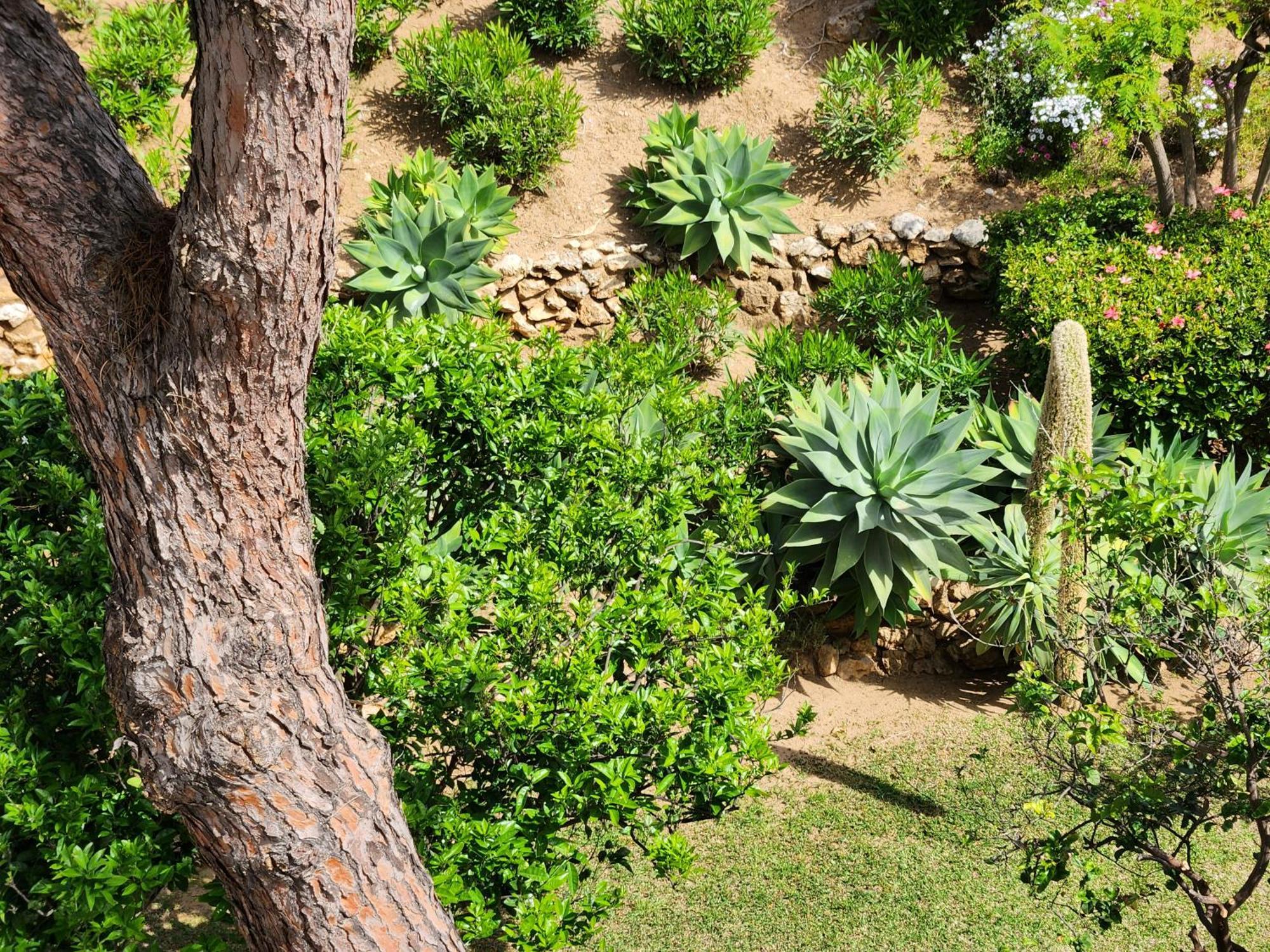 Elena Flat A Little Paradise Right On The Beach Sitio de Calahonda Buitenkant foto