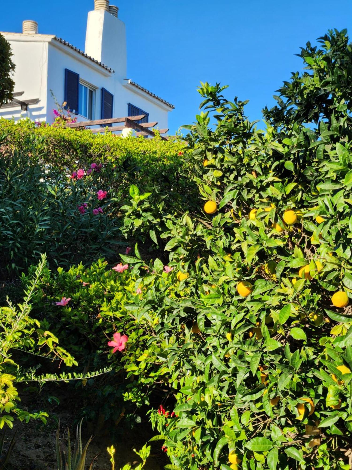Elena Flat A Little Paradise Right On The Beach Sitio de Calahonda Buitenkant foto